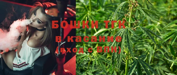гидра Нязепетровск