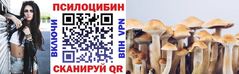 Псилоцибиновые грибы GOLDEN TEACHER  Тосно 