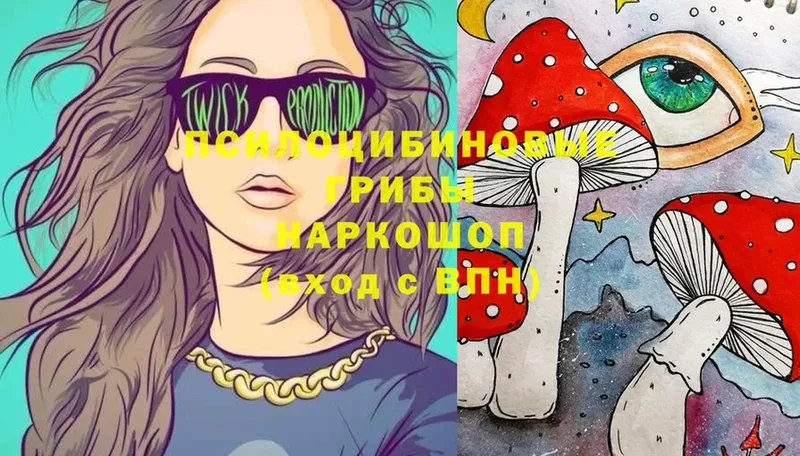 наркотики  Тосно  Галлюциногенные грибы MAGIC MUSHROOMS 