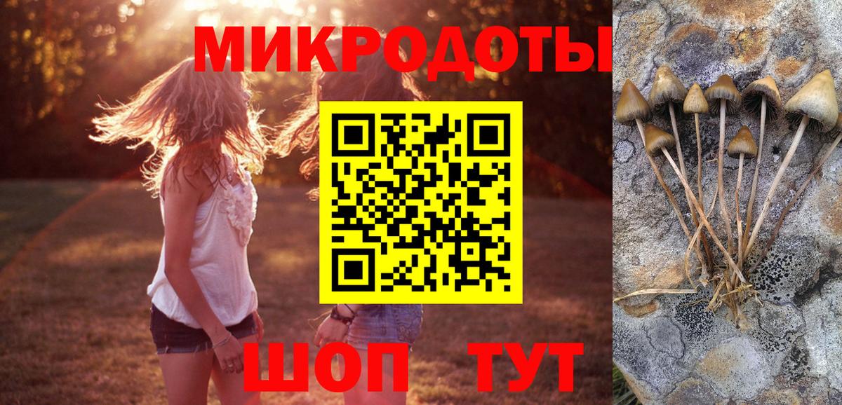 Галлюциногенные грибы GOLDEN TEACHER Тосно