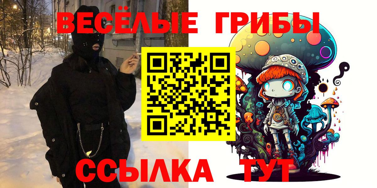 купить  цена  Тосно  Галлюциногенные грибы Psilocybine cubensis  Псилоцибиновые грибы мицелий 