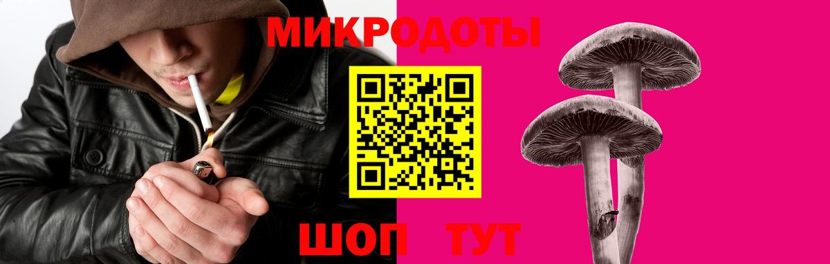 Тосно  Псилоцибиновые грибы Psilocybine cubensis  Вход с VPN  Псилоцибиновые грибы ЛСД 